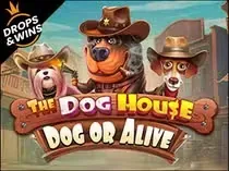 Juega a The Dog House y gana grandes premios